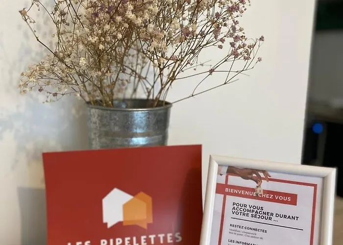 Clos Pasteur Modern For 4 People * Poitiers