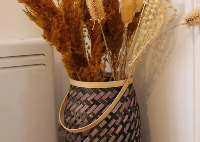 Apartment Clos Pasteur Modern For 4 People *